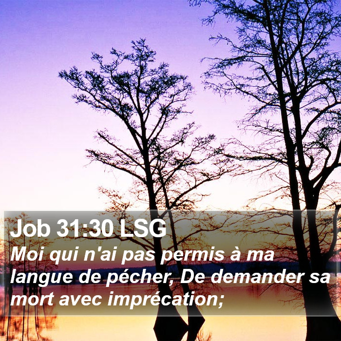 Job 31:30 LSG Bible Study