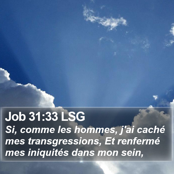 Job 31:33 LSG Bible Study