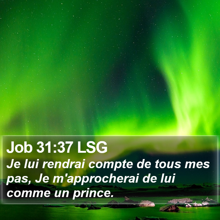 Job 31:37 LSG Bible Study