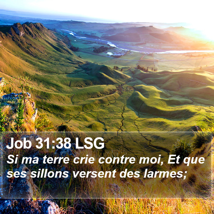 Job 31:38 LSG Bible Study