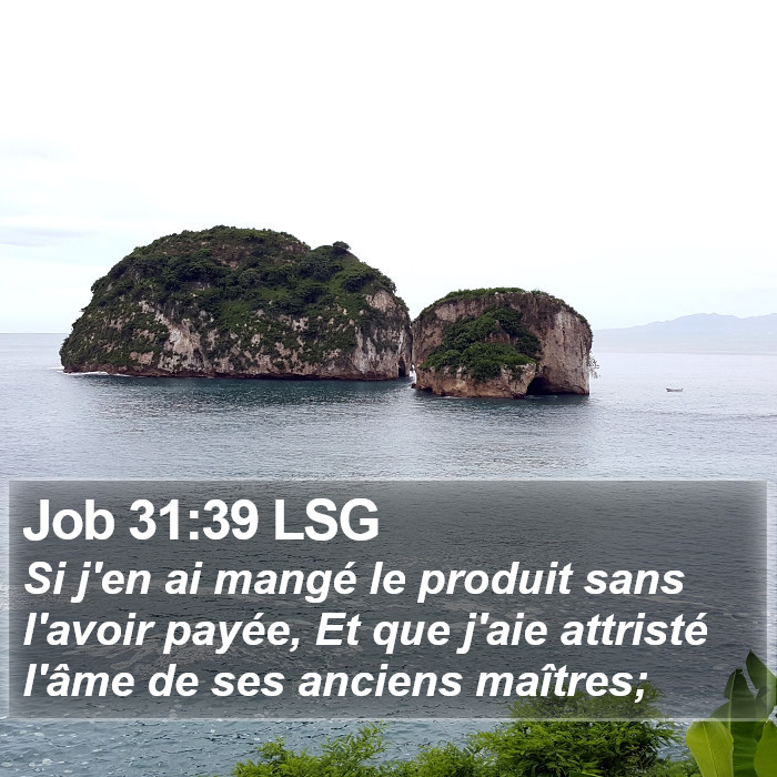 Job 31:39 LSG Bible Study