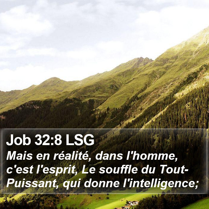 Job 32:8 LSG Bible Study