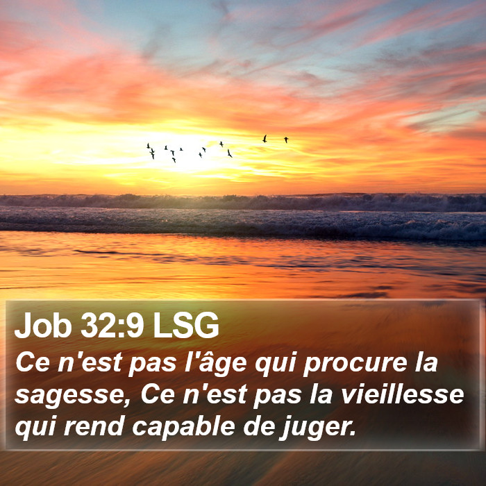 Job 32:9 LSG Bible Study