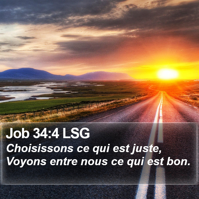 Job 34:4 LSG Bible Study