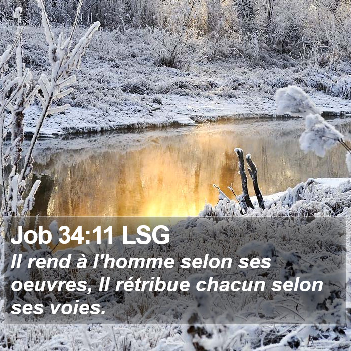 Job 34:11 LSG Bible Study