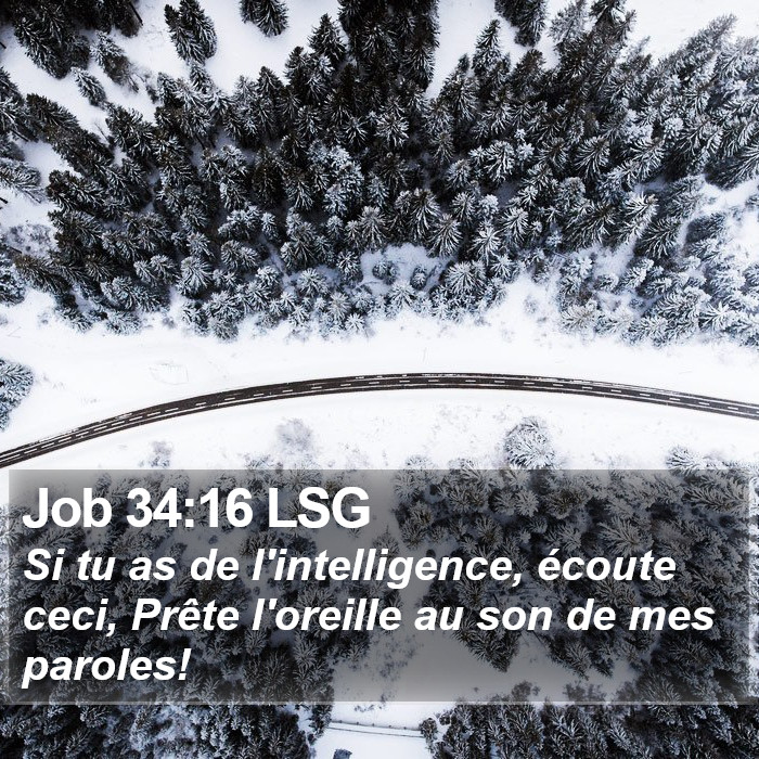 Job 34:16 LSG Bible Study