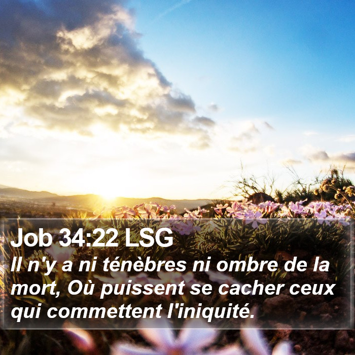 Job 34:22 LSG Bible Study