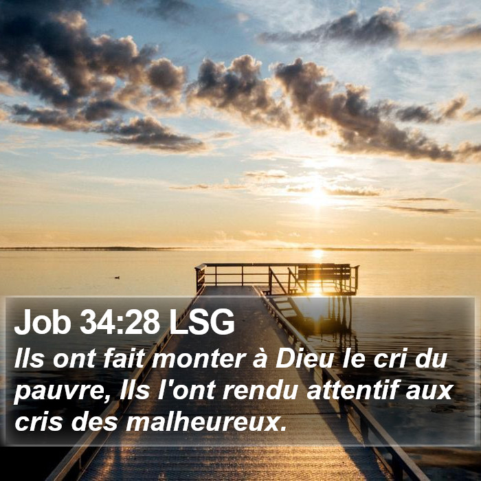 Job 34:28 LSG Bible Study