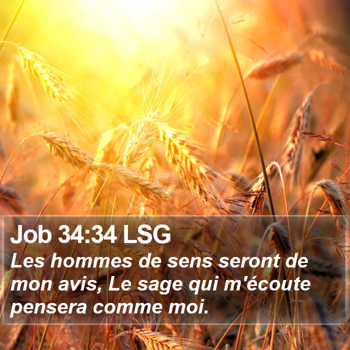 Job 34:34 LSG Bible Study