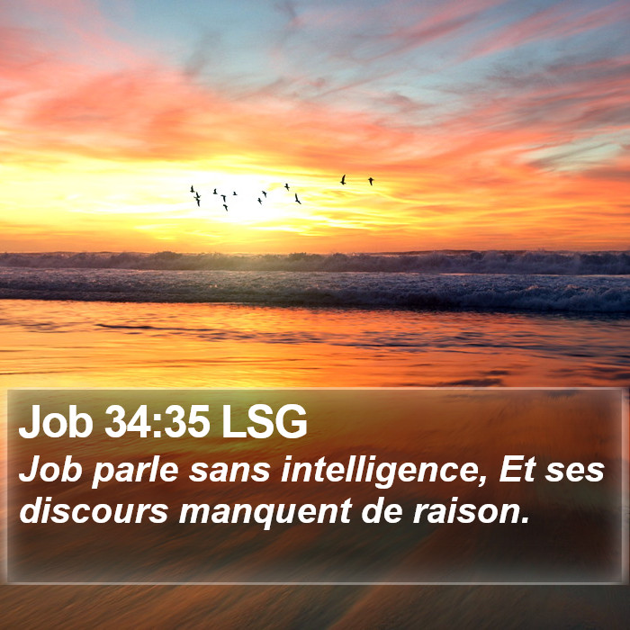 Job 34:35 LSG Bible Study