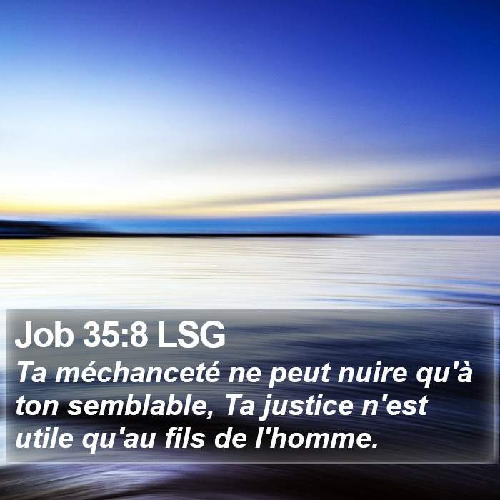 Job 35:8 LSG Bible Study