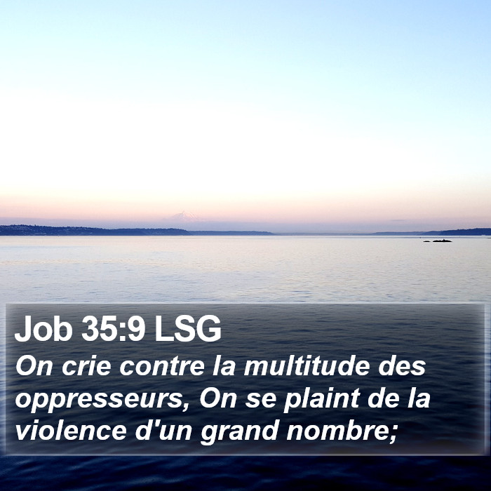 Job 35:9 LSG Bible Study