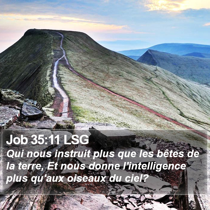 Job 35:11 LSG Bible Study