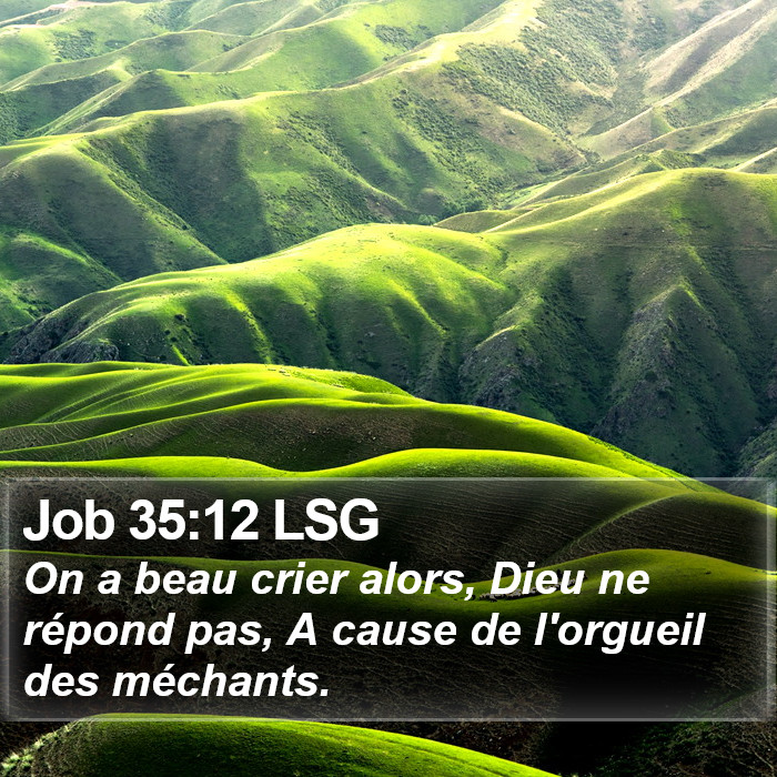 Job 35:12 LSG Bible Study