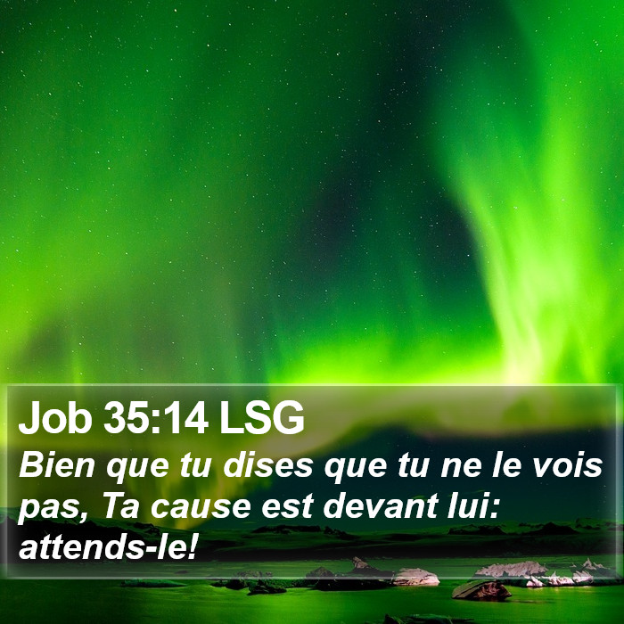 Job 35:14 LSG Bible Study