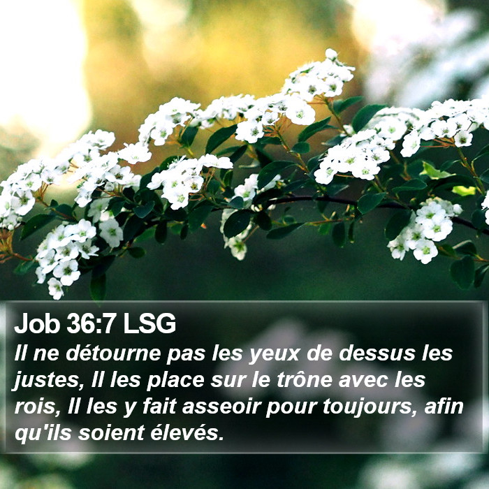 Job 36:7 LSG Bible Study