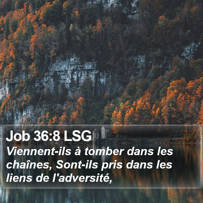 Job 36:8 LSG Bible Study