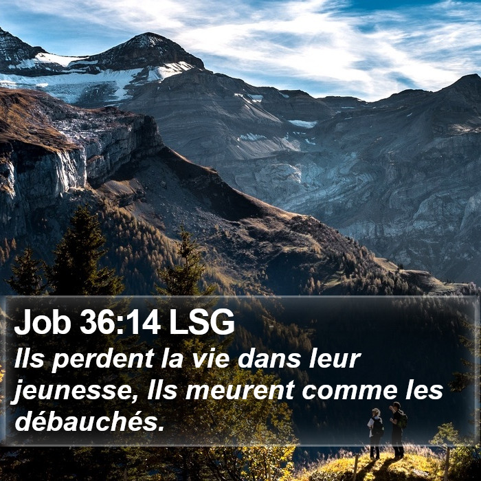 Job 36:14 LSG Bible Study