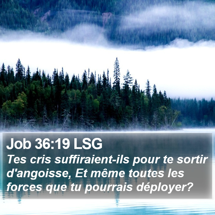 Job 36:19 LSG Bible Study