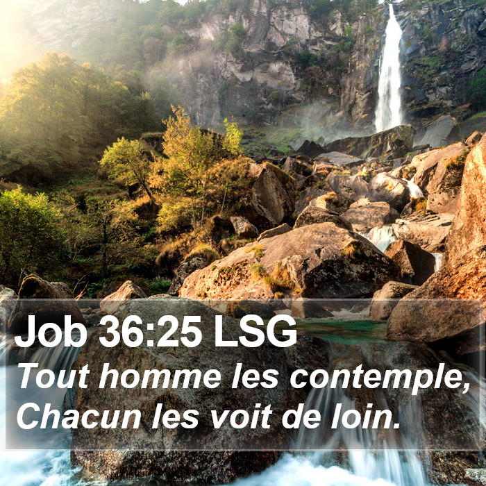 Job 36:25 LSG Bible Study