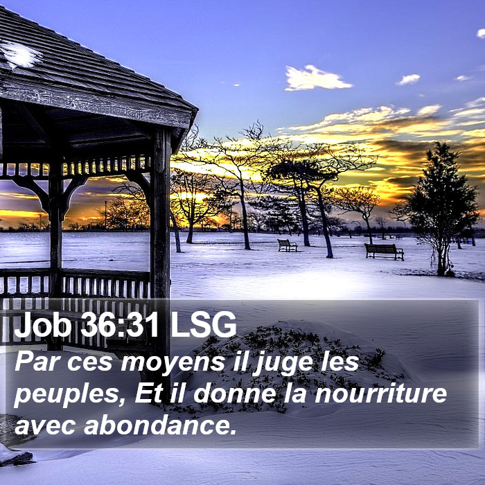 Job 36:31 LSG Bible Study