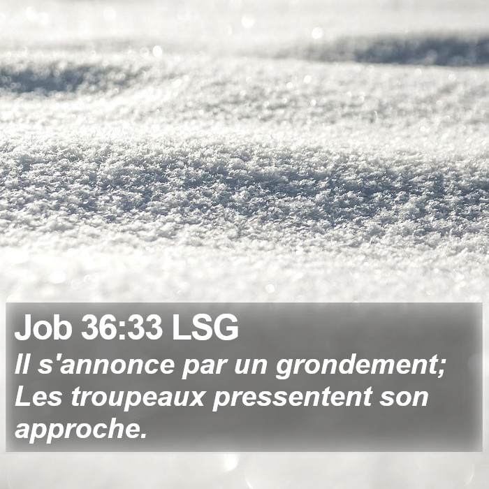 Job 36:33 LSG Bible Study