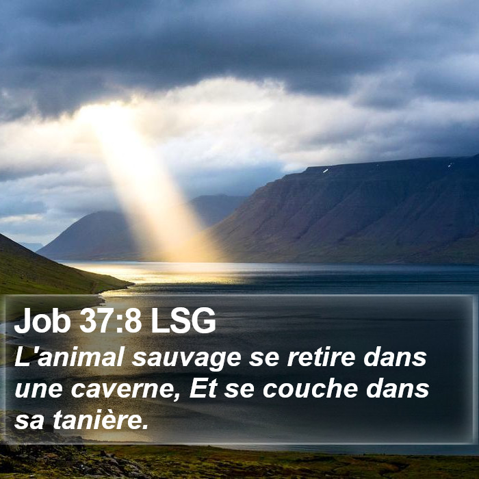 Job 37:8 LSG Bible Study