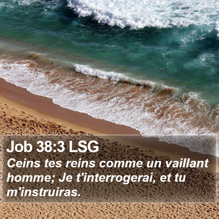 Job 38:3 LSG Bible Study