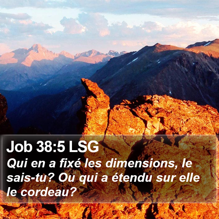 Job 38:5 LSG Bible Study