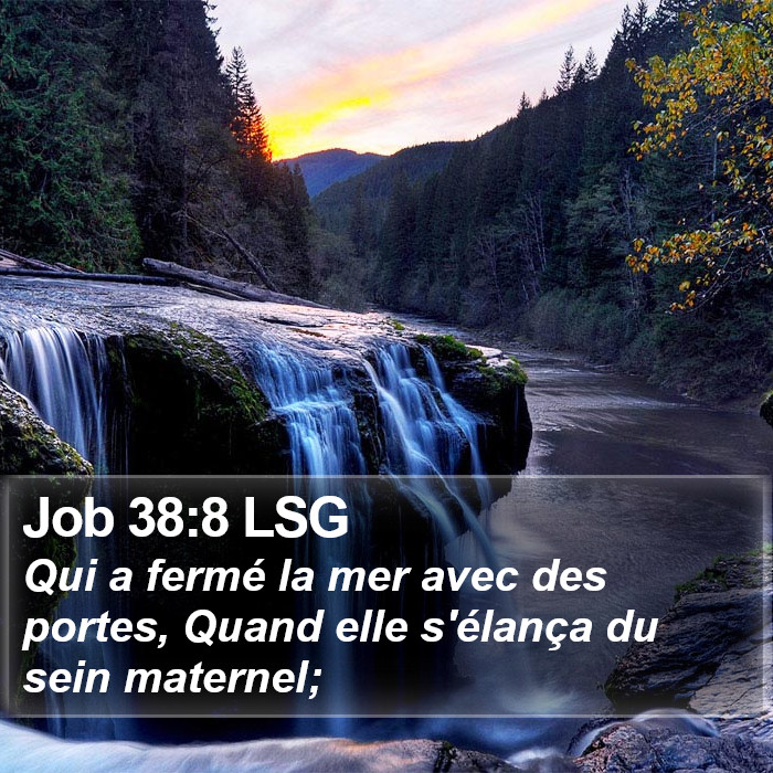 Job 38:8 LSG Bible Study