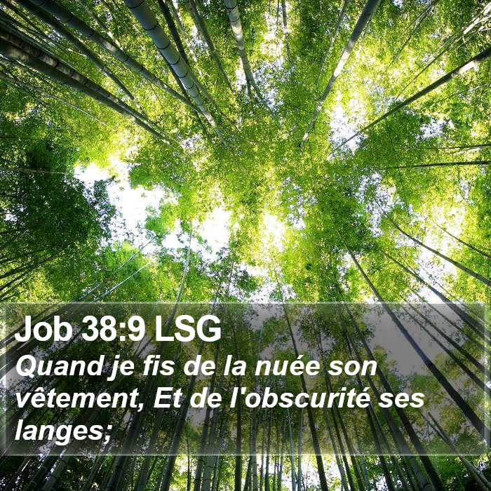 Job 38:9 LSG Bible Study