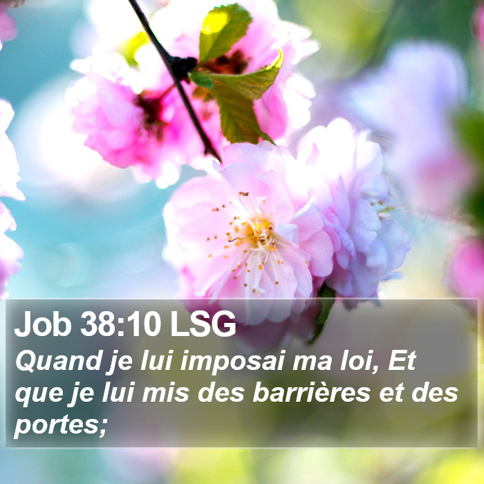 Job 38:10 LSG Bible Study