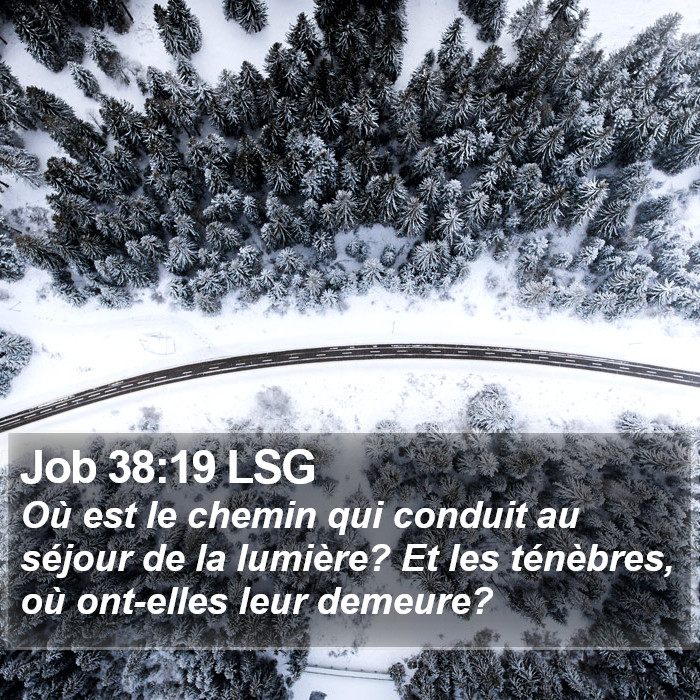 Job 38:19 LSG Bible Study