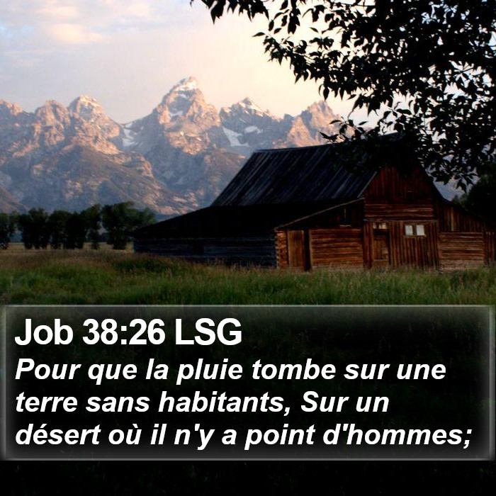 Job 38:26 LSG Bible Study