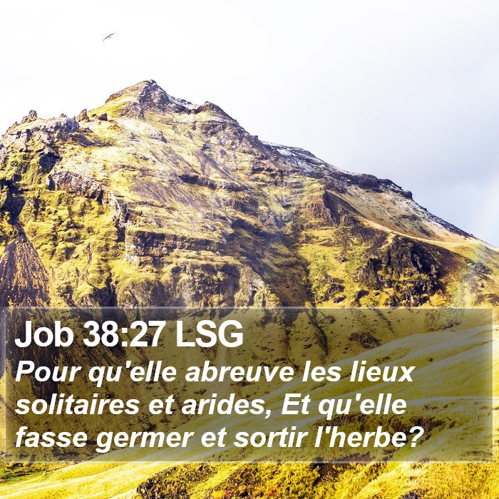 Job 38:27 LSG Bible Study