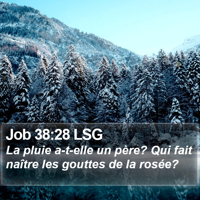 Job 38:28 LSG Bible Study