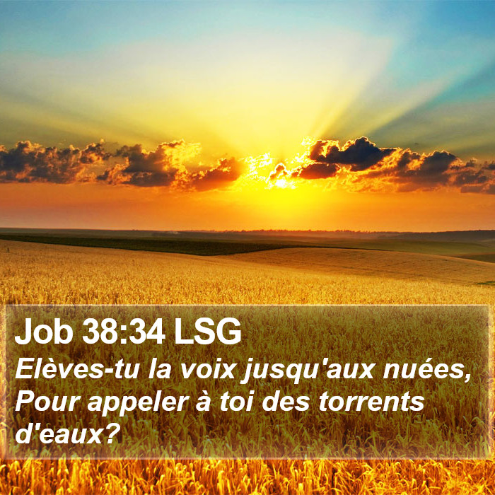 Job 38:34 LSG Bible Study