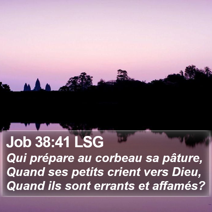 Job 38:41 LSG Bible Study