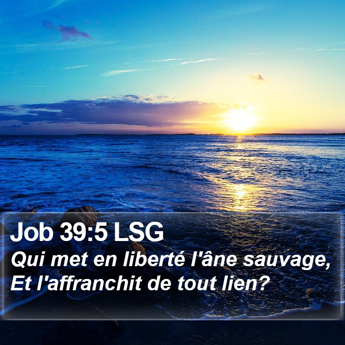 Job 39:5 LSG Bible Study