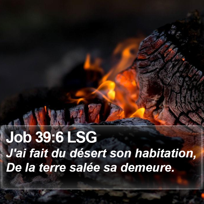 Job 39:6 LSG Bible Study
