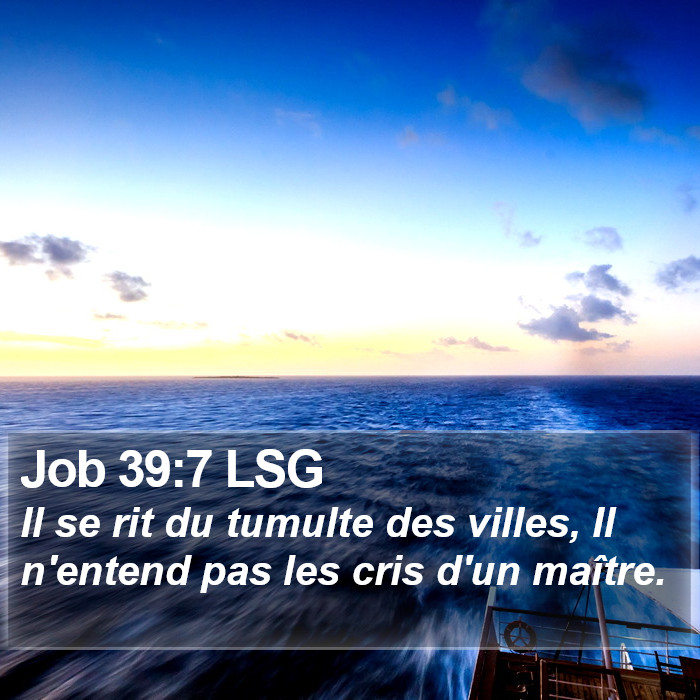 Job 39:7 LSG Bible Study