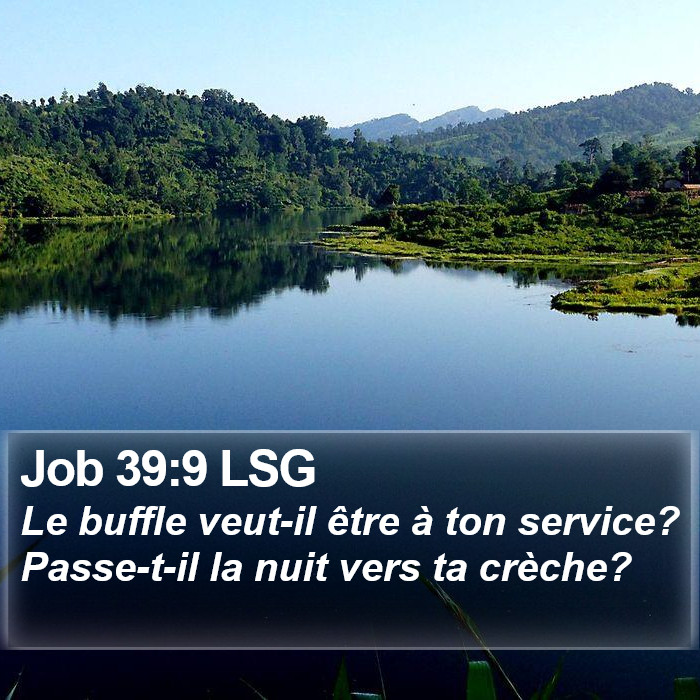 Job 39:9 LSG Bible Study