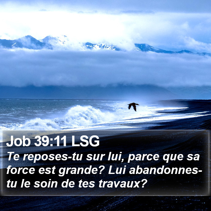 Job 39:11 LSG Bible Study