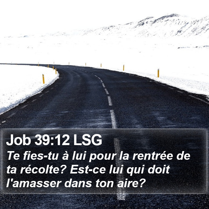 Job 39:12 LSG Bible Study