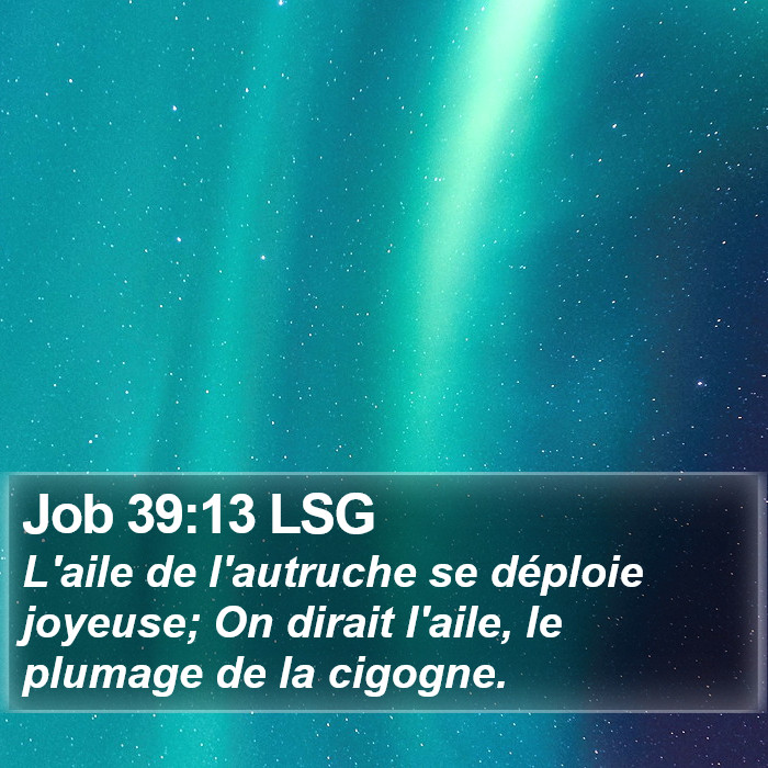 Job 39:13 LSG Bible Study