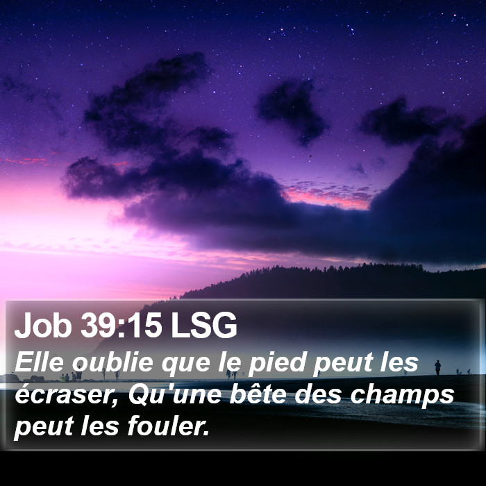 Job 39:15 LSG Bible Study