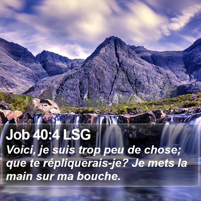 Job 40:4 LSG Bible Study