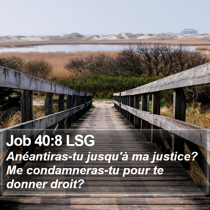 Job 40:8 LSG Bible Study