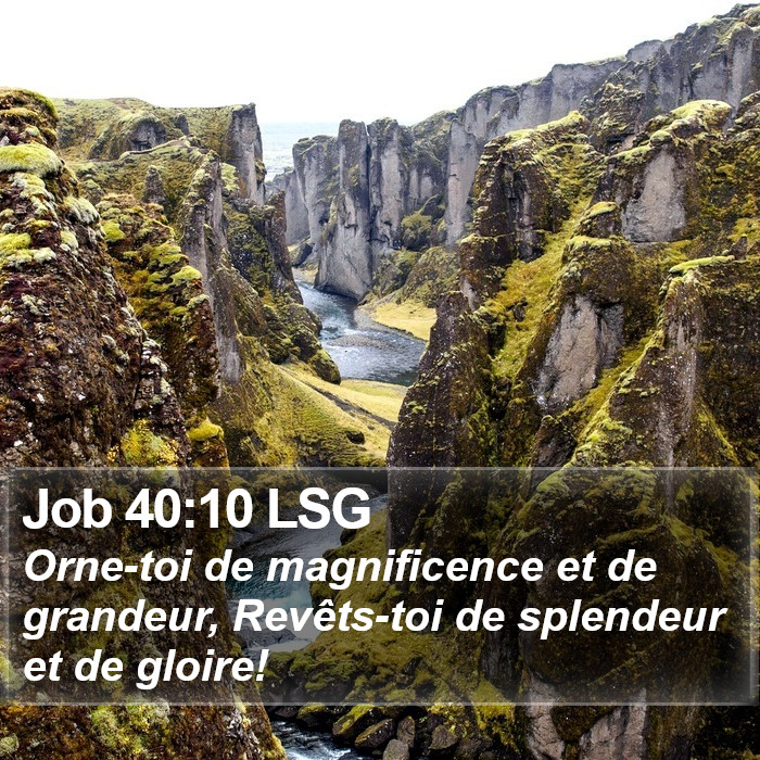 Job 40:10 LSG Bible Study