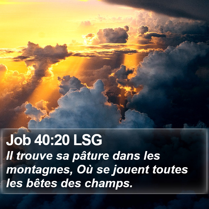 Job 40:20 LSG Bible Study